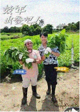 综艺慢直播时代 影视资讯